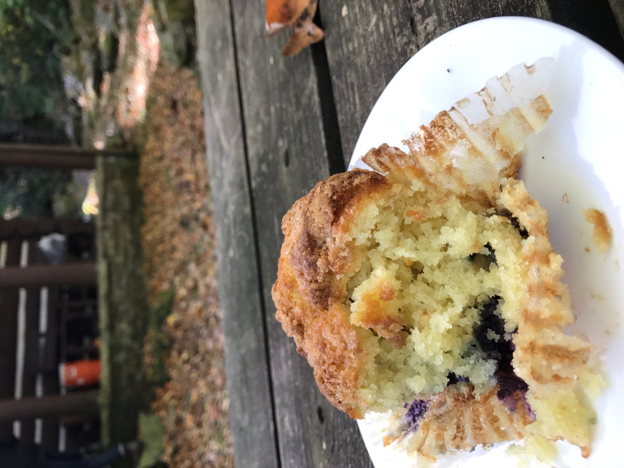 blueberry muffin